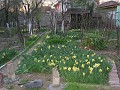 20120330_Acasa_Primavara (94)